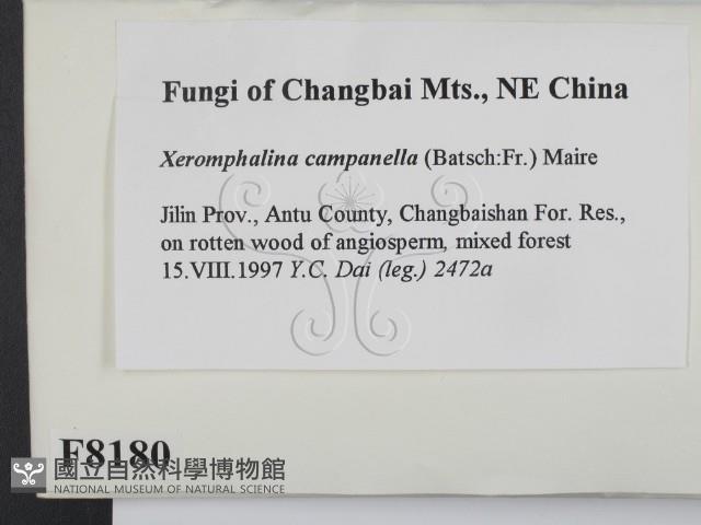 登錄號:F0008180藏品圖，第2張