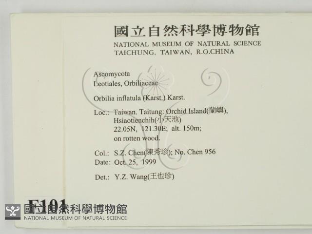 登錄號:F0010180藏品圖，第2張