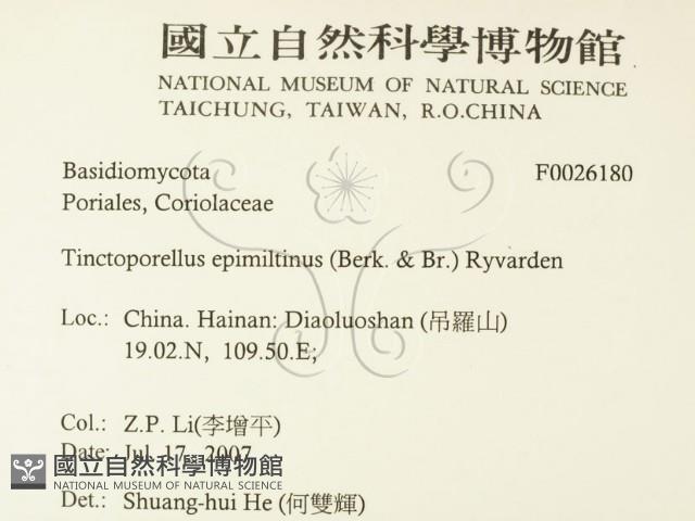 登錄號:F0026180藏品圖，第2張