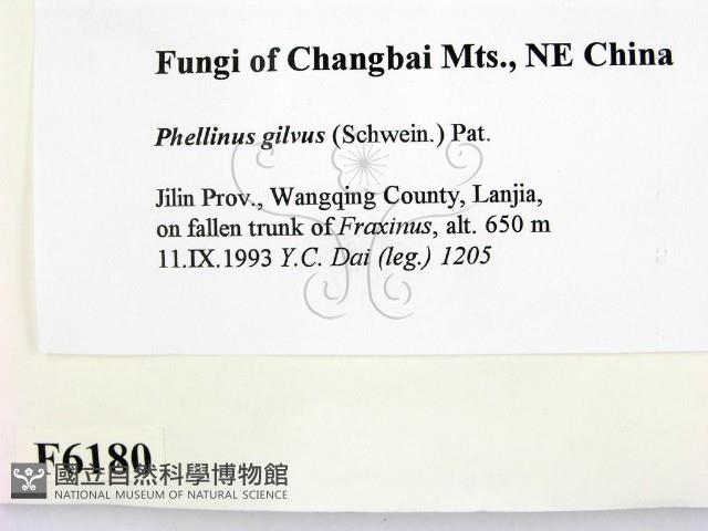 登錄號:F0006180藏品圖，第2張