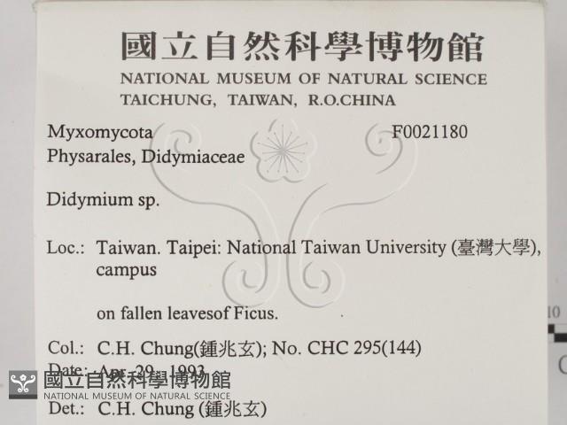 登錄號:F0021180藏品圖，第2張