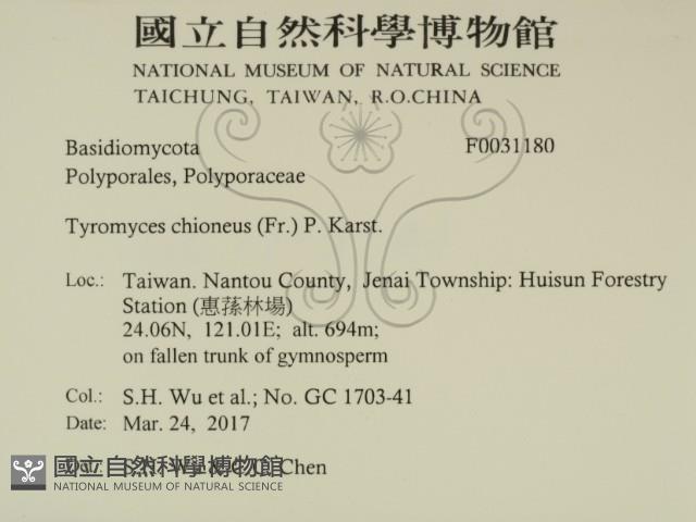 登錄號:F0031180藏品圖，第2張