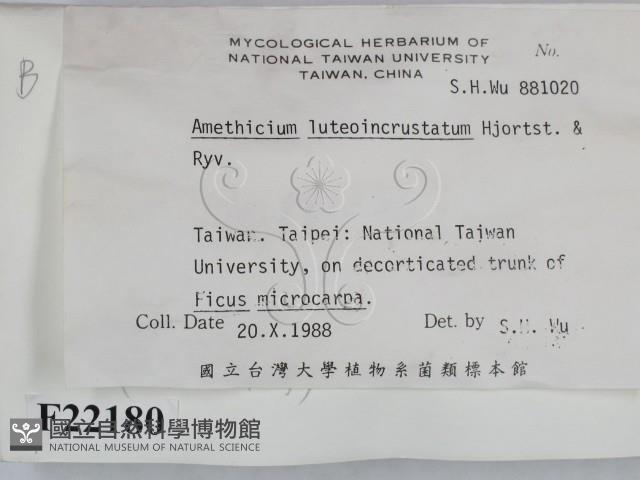 登錄號:F0022180藏品圖，第2張