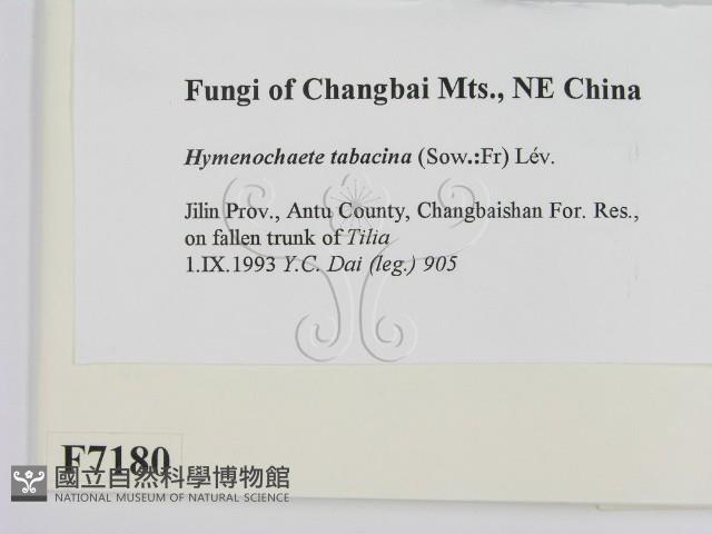 登錄號:F0007180藏品圖，第2張