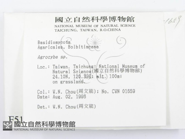 登錄號:F0005180藏品圖，第2張