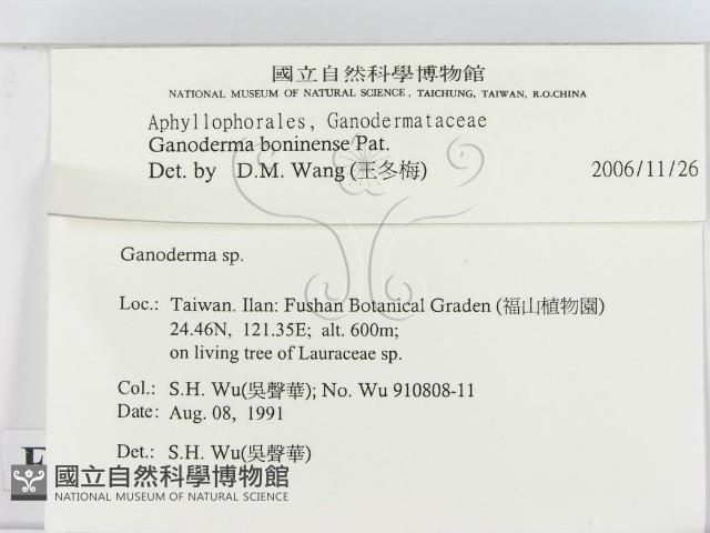 登錄號:F0015180藏品圖，第2張