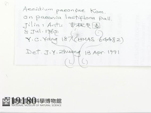 登錄號:F0019180藏品圖，第2張