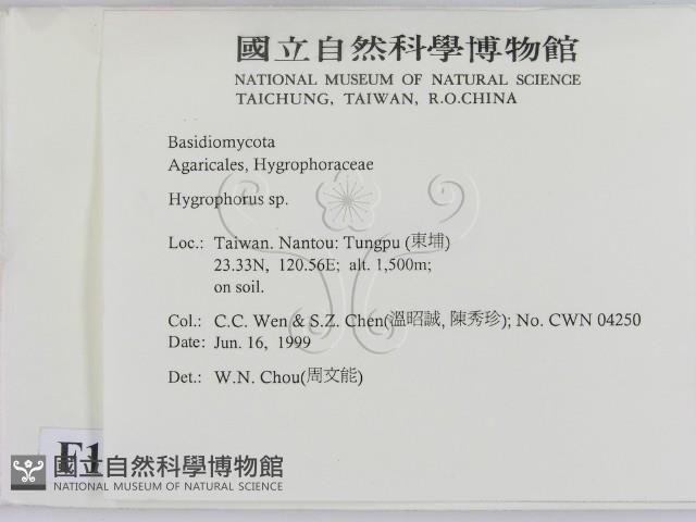 登錄號:F0013180藏品圖，第2張