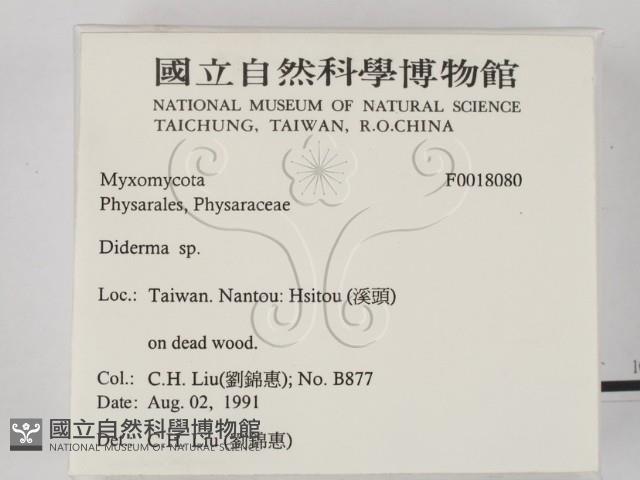 登錄號:F0018080藏品圖，第2張