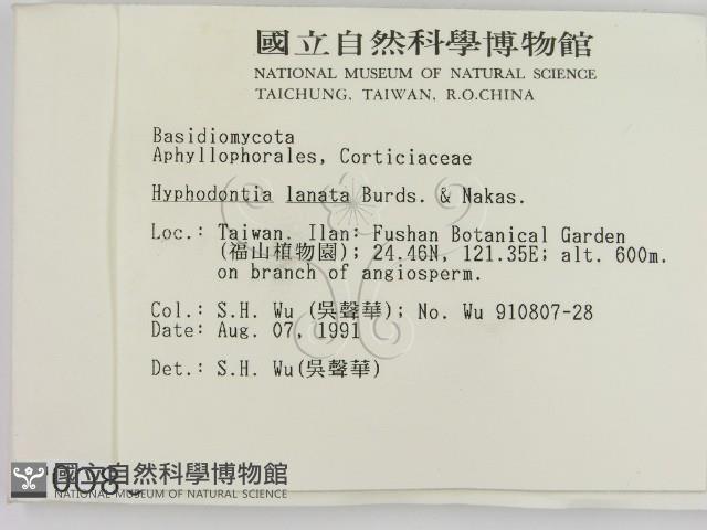 登錄號:F0000080藏品圖，第2張