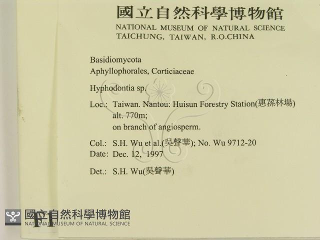 登錄號:F0010080藏品圖，第2張