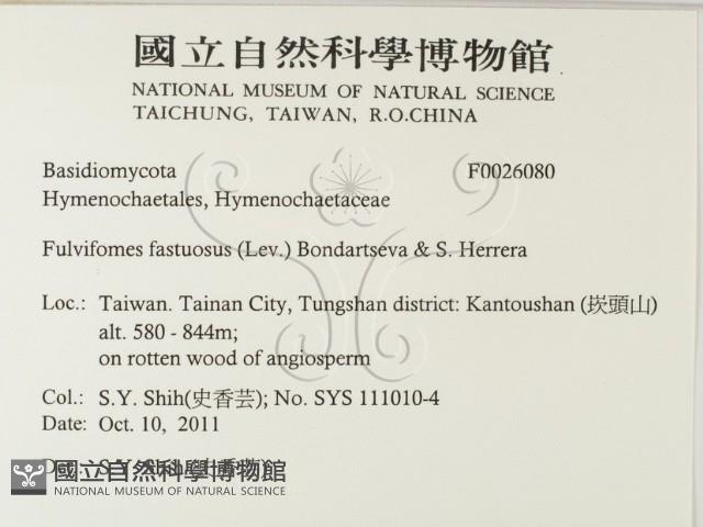 登錄號:F0026080藏品圖，第2張