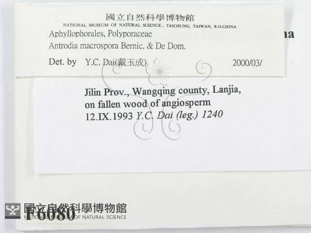 登錄號:F0006080藏品圖，第2張