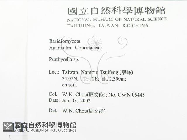 登錄號:F0016080藏品圖，第2張