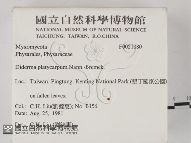 登錄號:F0021080藏品圖，第2張