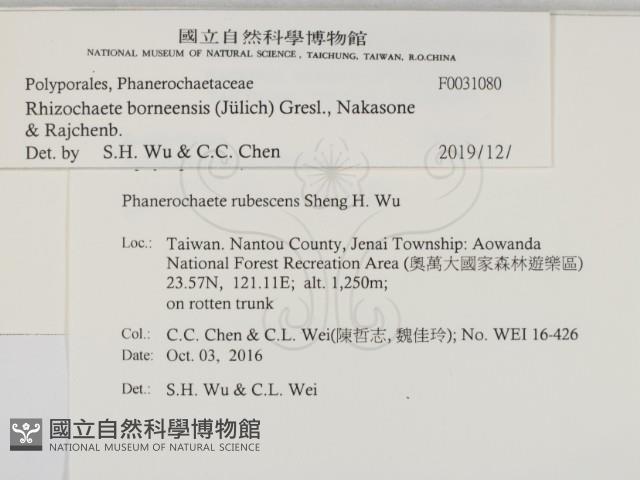 登錄號:F0031080藏品圖，第2張