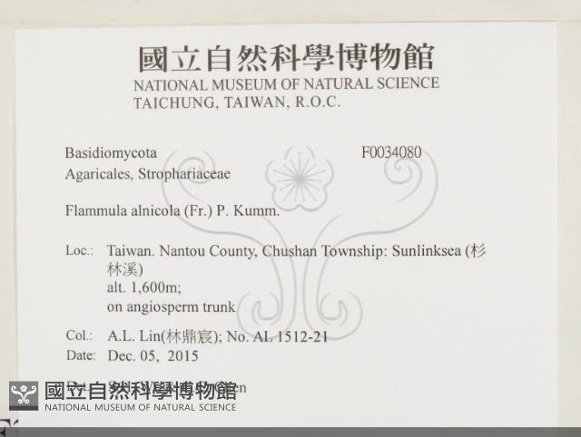 登錄號:F0034080藏品圖，第2張