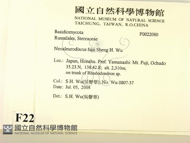 登錄號:F0022080藏品圖，第2張