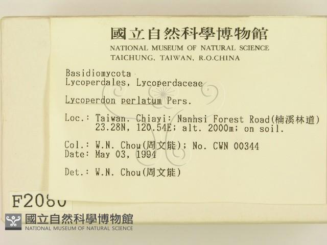 登錄號:F0002080藏品圖，第2張