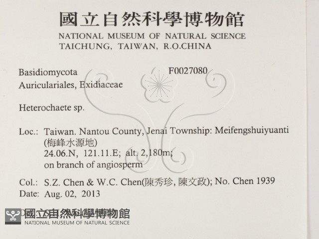 刺皮菌屬藏品圖，第2張