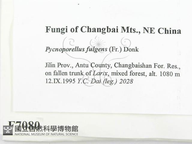 登錄號:F0007080藏品圖，第2張