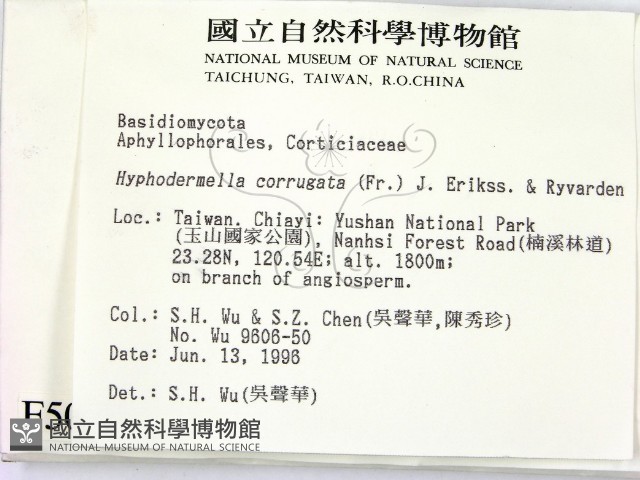 登錄號:F0005080藏品圖，第2張