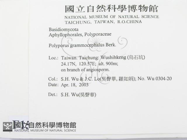 登錄號:F0015080藏品圖，第2張