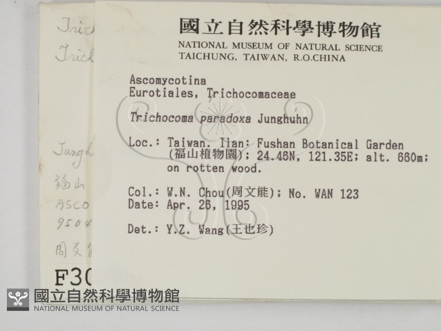 登錄號:F0003080藏品圖，第2張