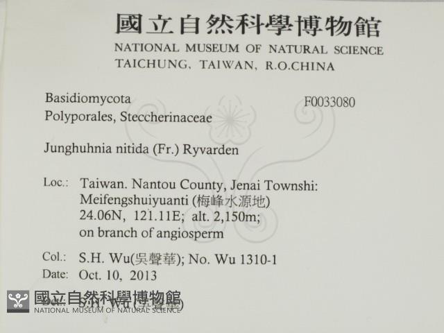 登錄號:F0033080藏品圖，第2張