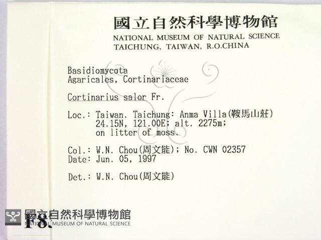 登錄號:F0008380藏品圖，第2張