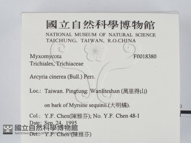 登錄號:F0018380藏品圖，第2張
