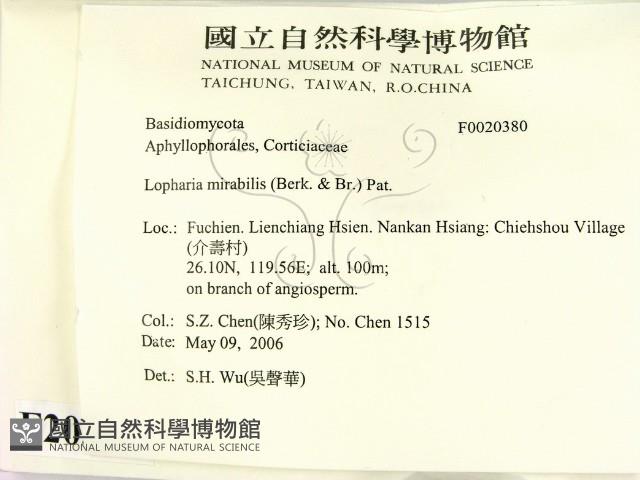 登錄號:F0020380藏品圖，第2張