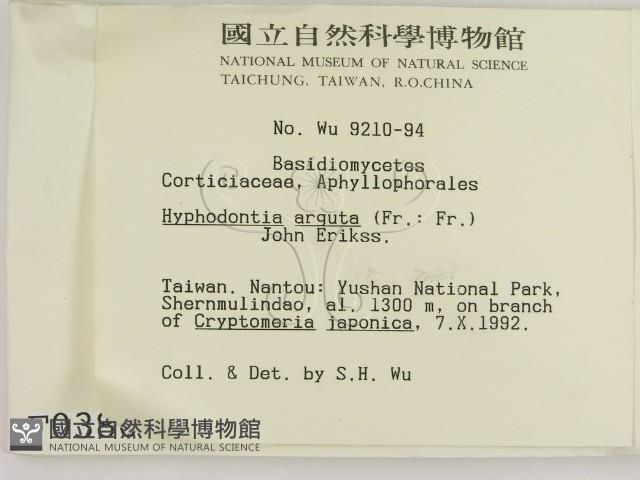 登錄號:F0000380藏品圖，第2張
