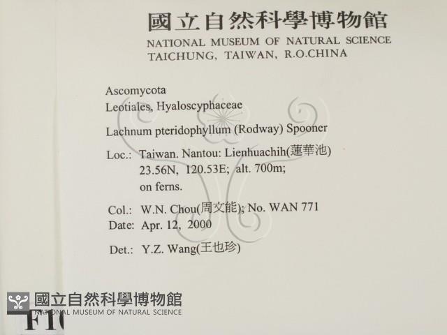 登錄號:F0010380藏品圖，第2張