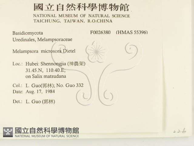 登錄號:F0026380藏品圖，第2張