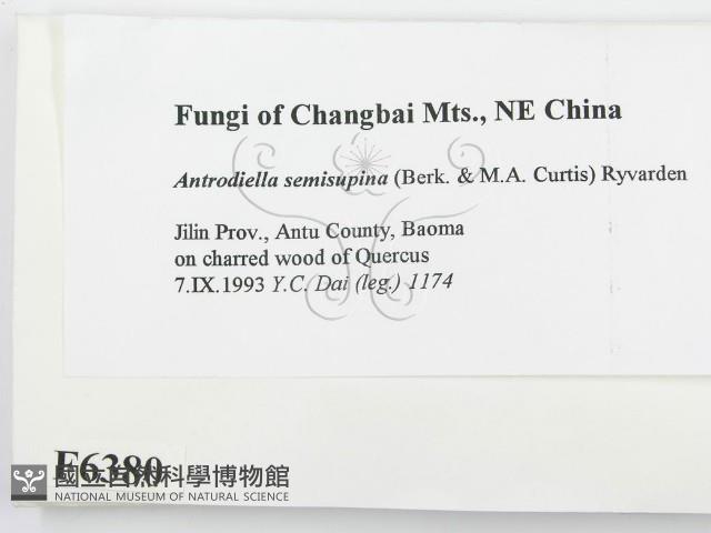 登錄號:F0006380藏品圖，第2張