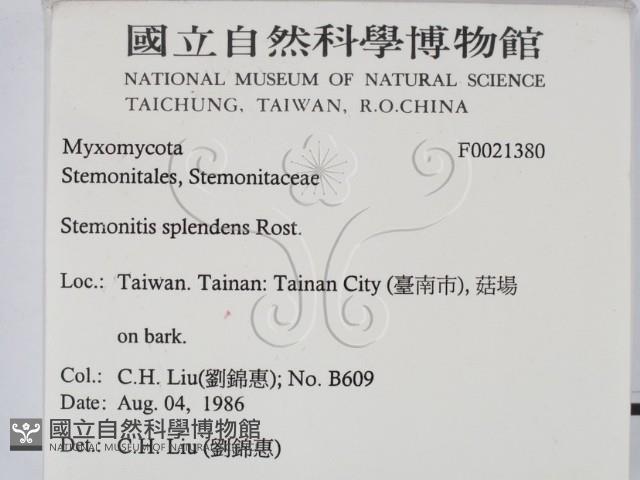 館號:F0021380藏品圖，第2張