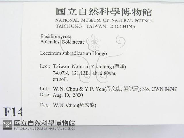 登錄號:F0014380藏品圖，第2張