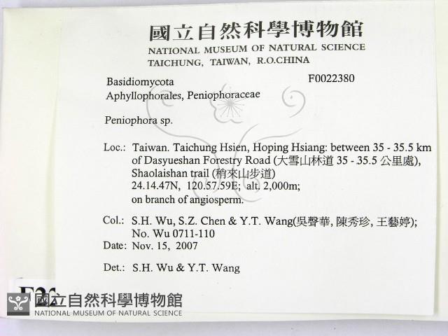 筍殼菌屬藏品圖，第2張