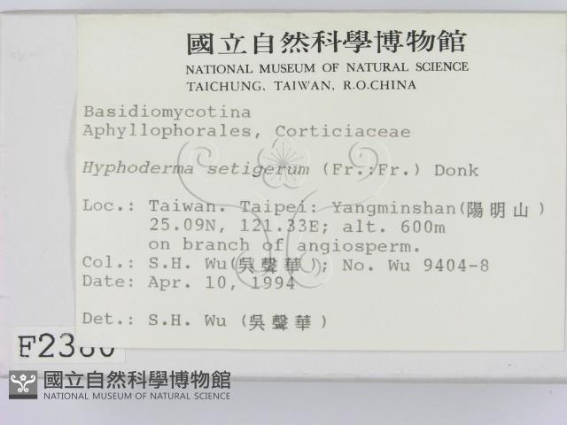 剛毛絲皮菌藏品圖，第2張