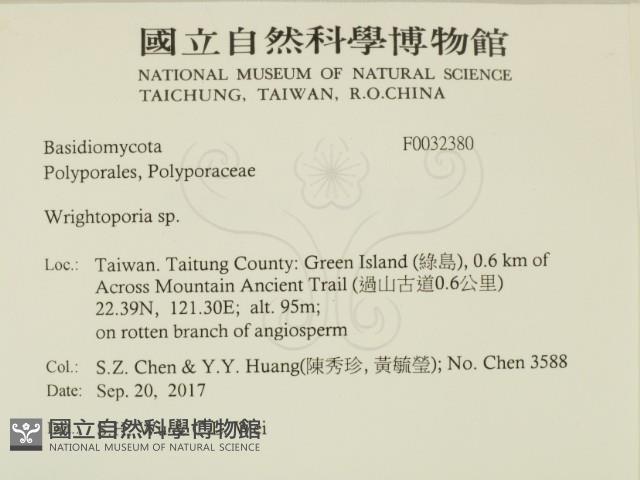 登錄號:F0032380藏品圖，第2張