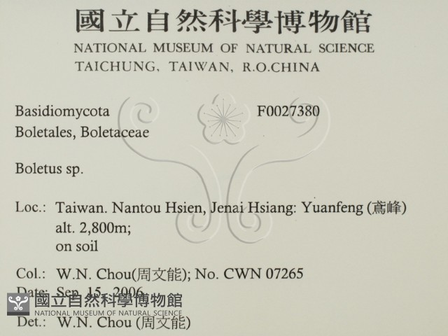 登錄號:F0027380藏品圖，第2張