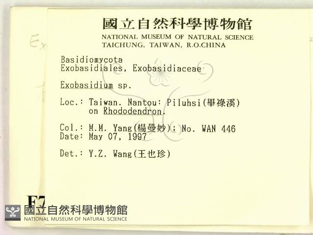 登錄號:F0007380藏品圖，第2張