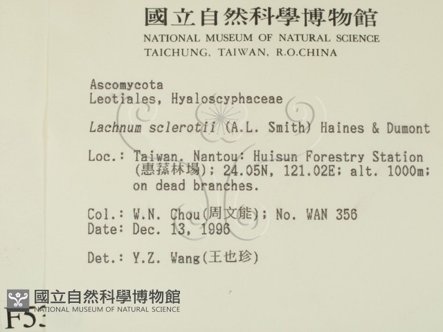 登錄號:F0005380藏品圖，第2張