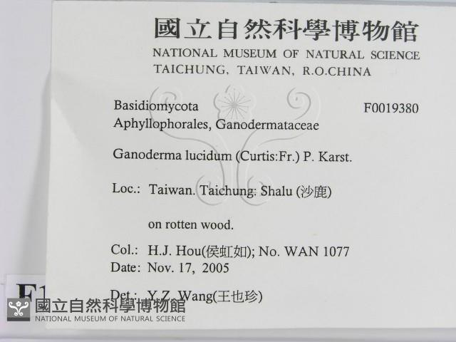 登錄號:F0019380藏品圖，第2張