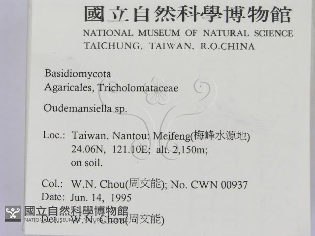 登錄號:F0003380藏品圖，第2張