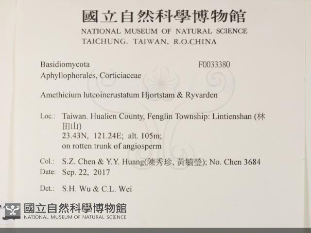 登錄號:F0033380藏品圖，第2張