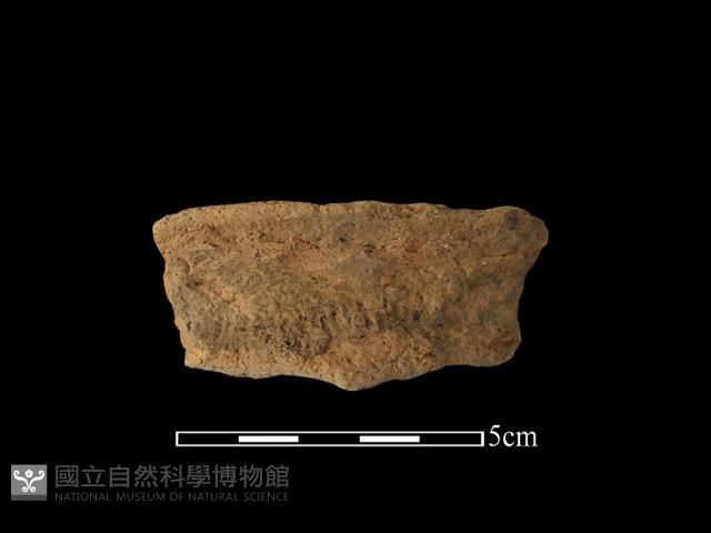 陶罐藏品圖，第1張