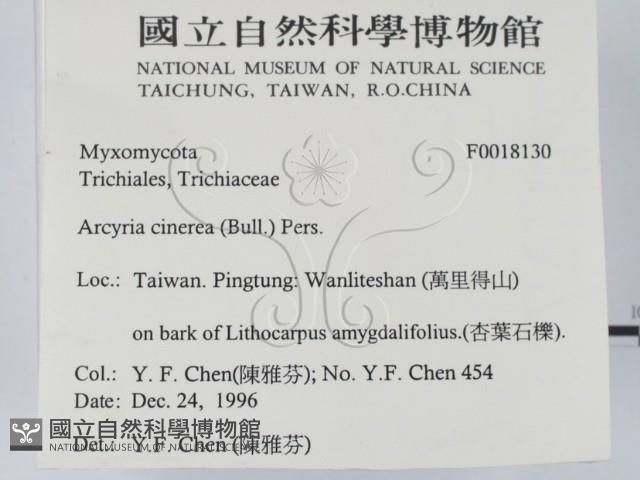 登錄號:F0018130藏品圖，第2張