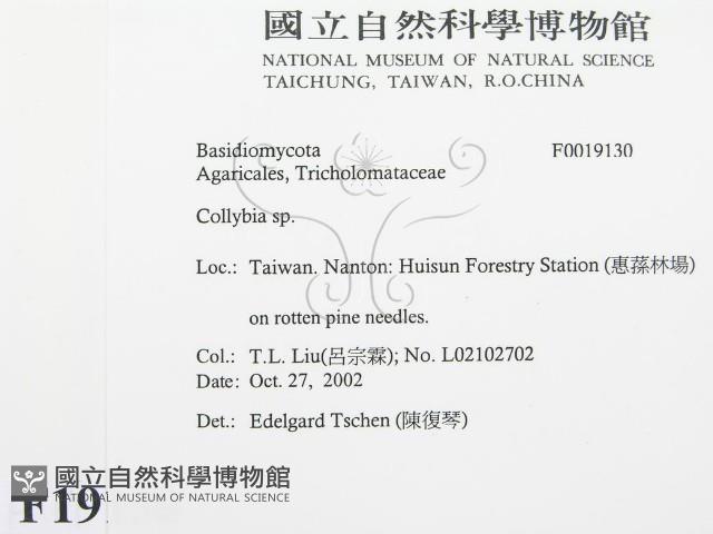 登錄號:F0019130藏品圖，第2張